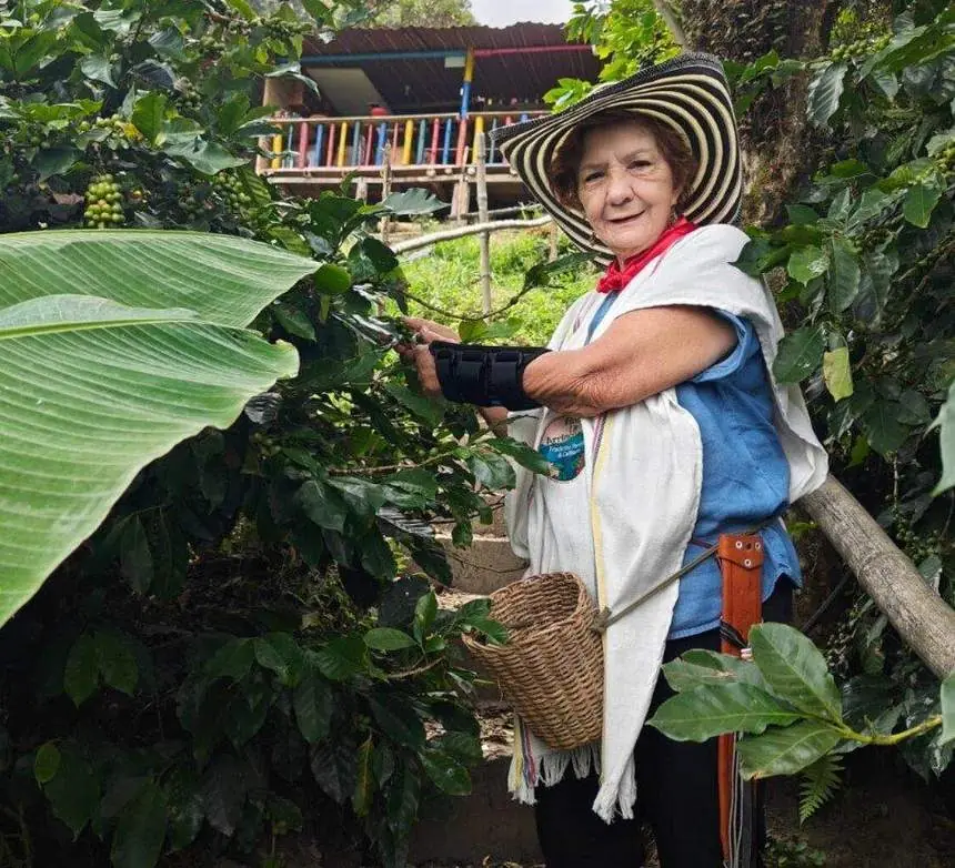 Mujer con sombrero y canasto recolectando café en la finca