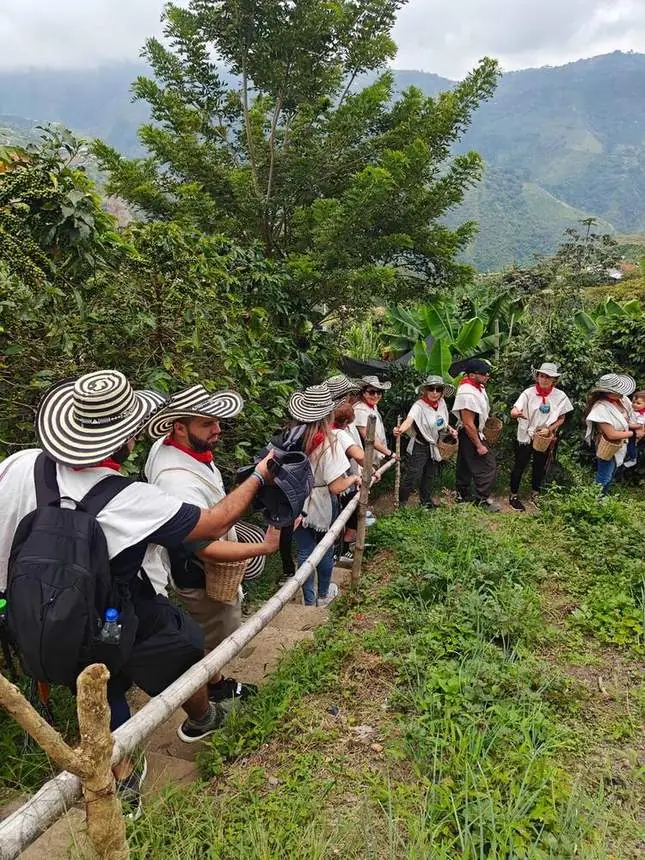 Grupo de visitantes con sombreros en un sendero de la finca cafetera